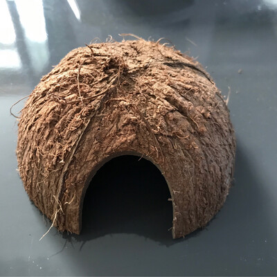 Kokosnuss Höhle 1 Stück