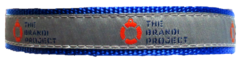 Brandi's Favorite Collar