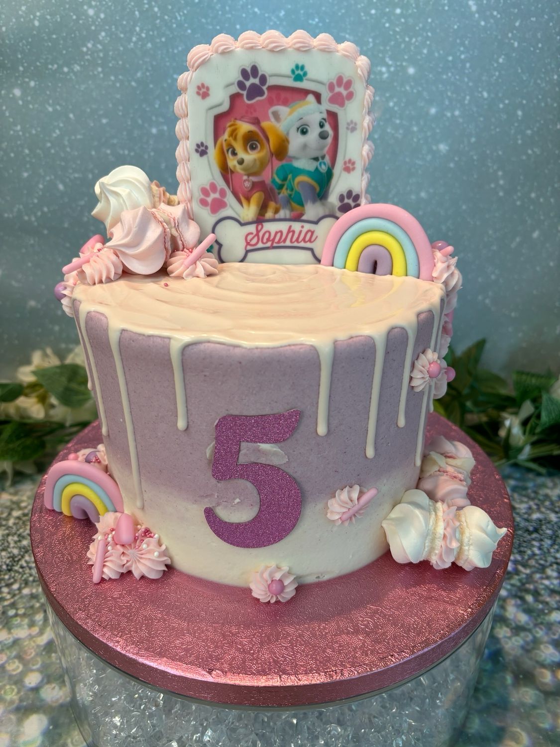 Paw Patrol Skye &amp; Everest