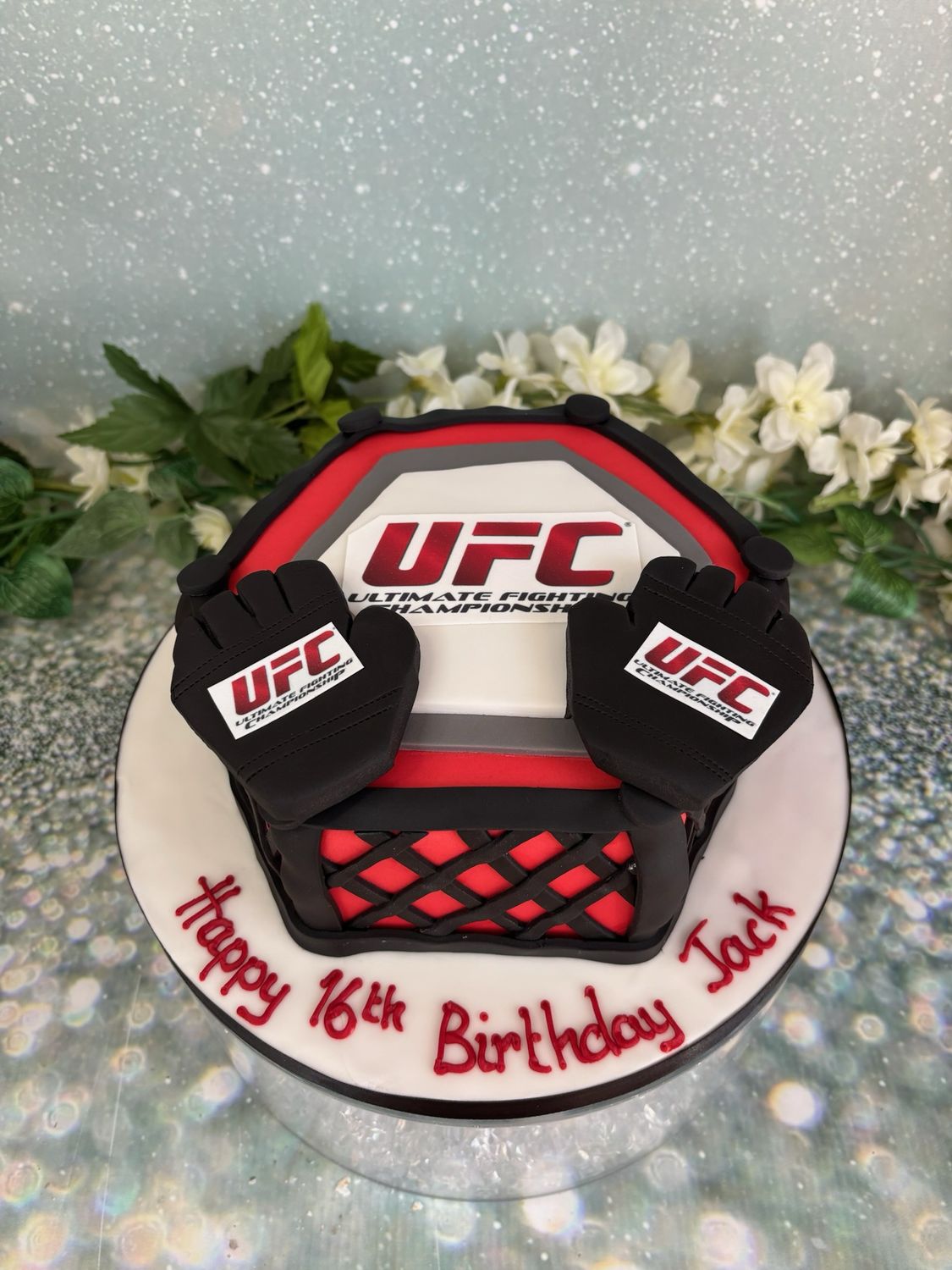 UFC Cage &amp; Gloves