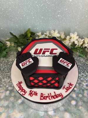 UFC Cage &amp; Gloves