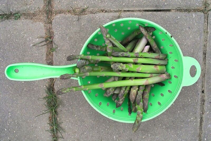 Asparagus | Millenium
