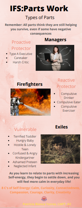 IFS Cheat Sheet Bundle