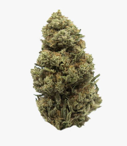 CBD Blüten &amp; Hash Sample Pack 