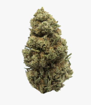 CBD Blüten &amp; Hash Sample Pack 