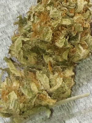 Lemon Kush OG 