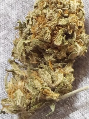 Lemon Kush OG 
