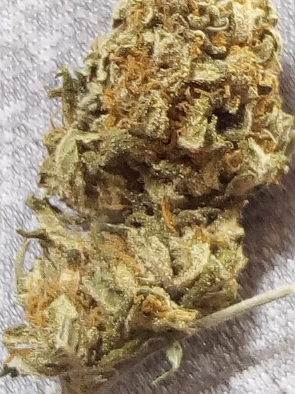Lemon Kush OG 