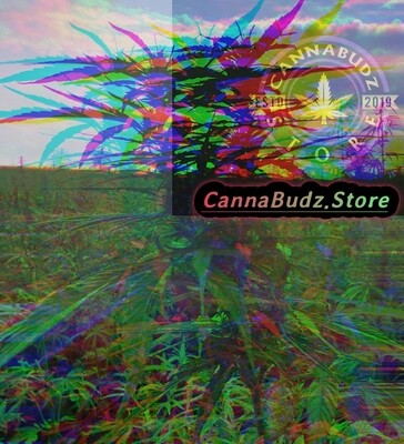 Strawnana OG ***Top-quality*** CBD Blüten
