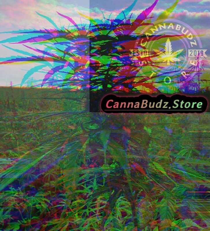 Strawnana OG ***Top-quality*** CBD Blüten