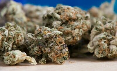 CBD Blüten