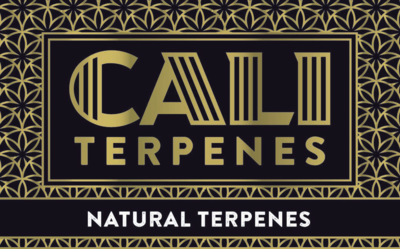 Cali Terpene 1ml div. Sorten