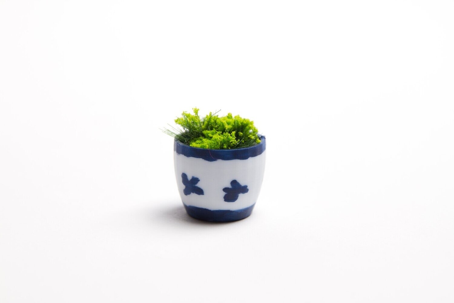 Plantje