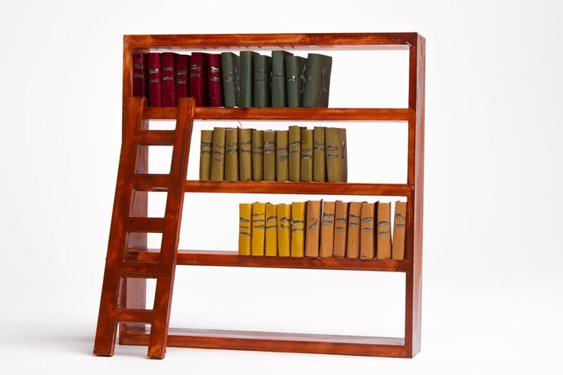Boekenkast met boeken