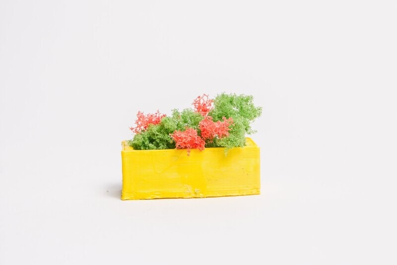Bloembak geel met plant