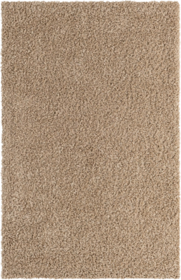 5&#39;x8&#39; Shag Performance Area Rug in Taupe