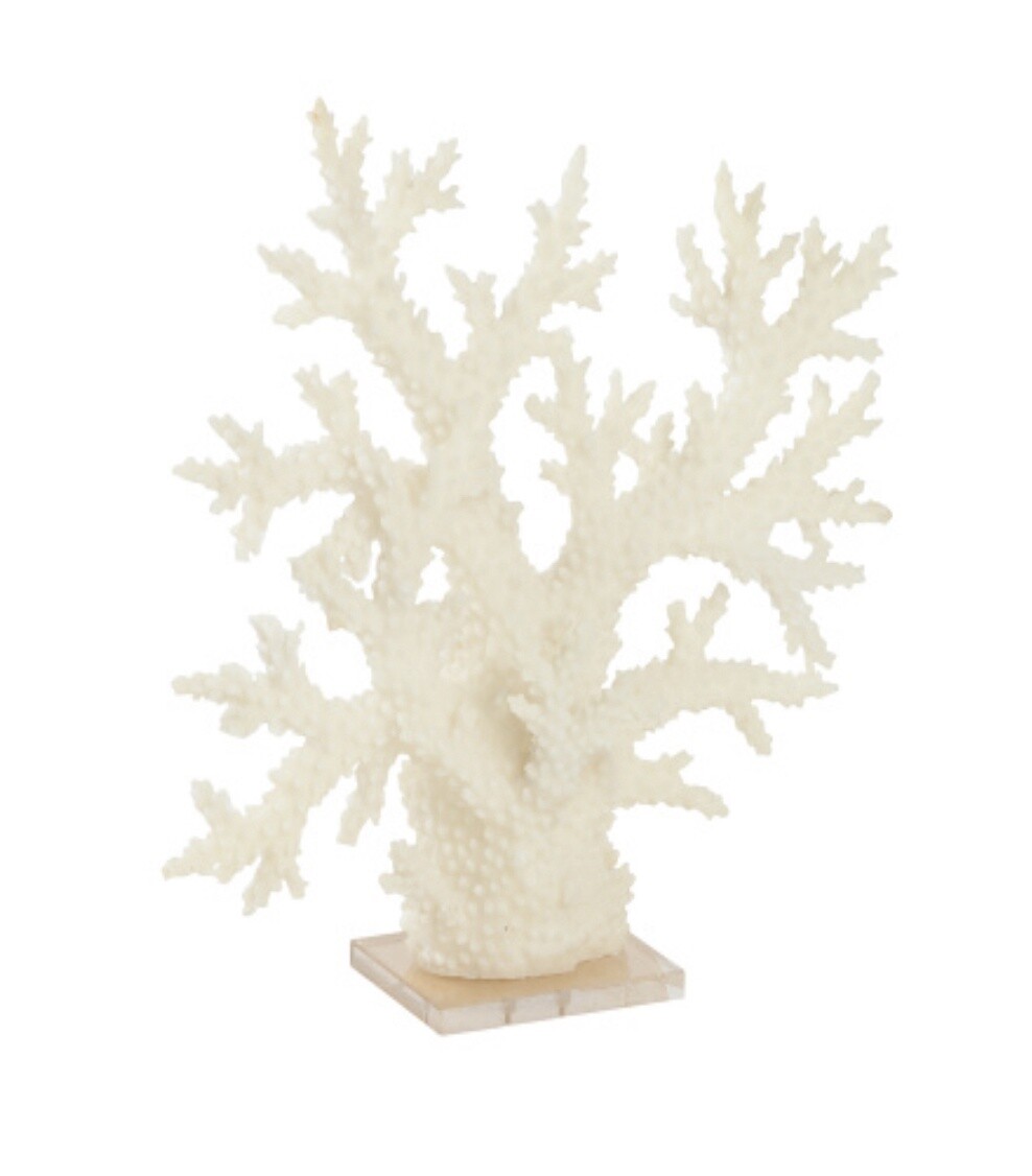 21.75&quot; White Coral on Acrylic Base