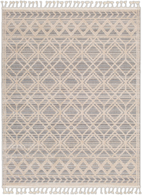 6&#39;7&quot;x9&#39; Moroccan  Area Rug in Beige/Gray/Cream