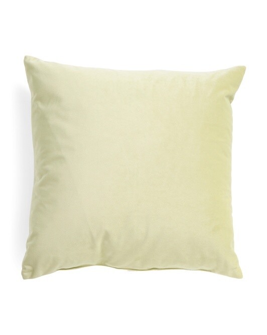 22x22 Velvet Front Feather Pillow in Parakeet