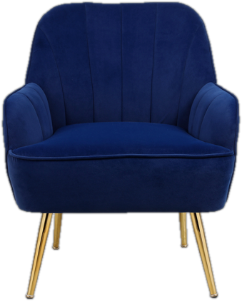 Velvet Upholstered Accent Chairs in Royal Blue (Set of 2)