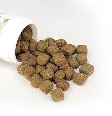 Suplementos de saúde para cães