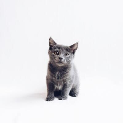 Suplementos & Vitaminas