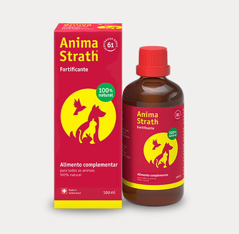 Anima-Strath 100ml - suplemento alimentar natural para cães e gatos, líquido, frasco de 100ml 