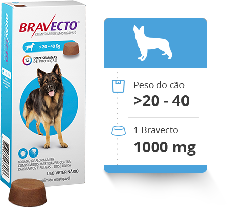 Bravecto | 20-40 Kg