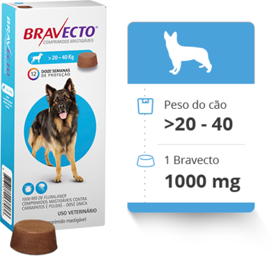 Bravecto | 20-40 Kg Bravecto | 20-40 Kg