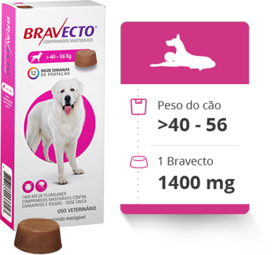 Bravecto | 40-56Kg Bravecto | 40-56Kg