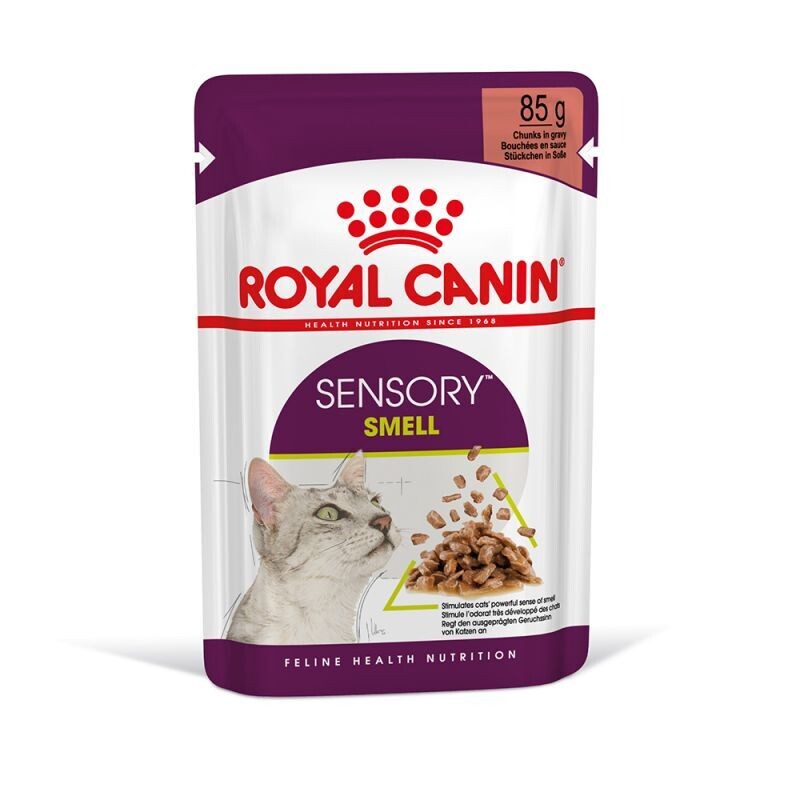 Royal Canin® Sensory Smell em Molho 12 sachês de 85g, alimento úmido para gatos adultos, aroma irresistível à base de peixe para estimular o olfato.