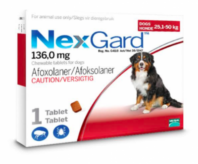 Nexgard | 25-50kg 1 Comprimido Mastigável Imagem de um cão grande mastigando um comprimido sabor carne