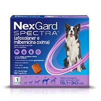Nexgard Spectra | 15-30kg 3 Comprimidos Mastigáveis Embalagem de Nexgard Spectra para cães de 15kg a 30kg, com 3 tabletes mastigáveis.