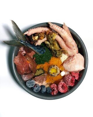 Comida natural congelada para cães