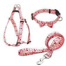 Coleiras, arneses, guias e etiquetas