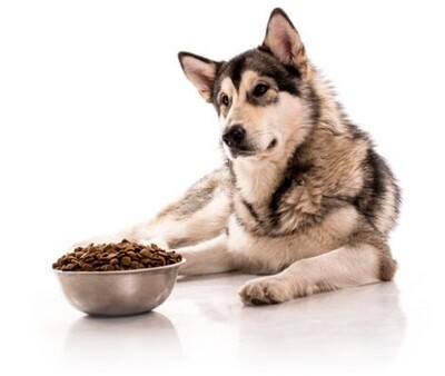 Dietas Veterinárias