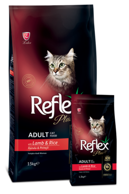 Gato adulto brincalhão comendo ração Reflex Plus Gato Adulto Cordeiro & Arroz