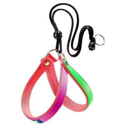 Peitoral Agila Colours 2 da Ferplast.