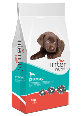 Internutri | Cão Puppy 20kg Internutri | Cão Puppy 20kg
