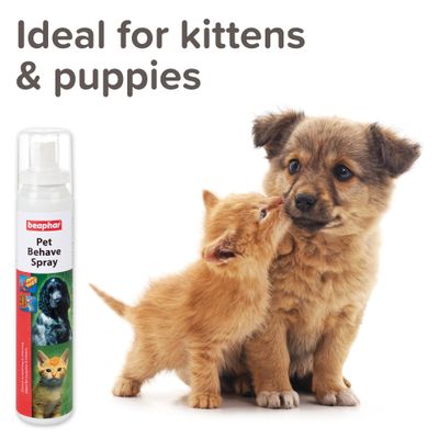 Beaphar Pet Behave Spray: Treina seu cão ou gato a evitar morder, arranhar ou mastigar objetos indesejados. Seguro e eficaz. 125ml. 