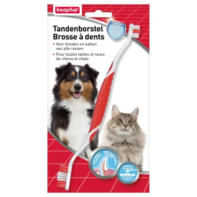 Beaphar | Escova de Dentes para Cães e Gatos Beaphar Escova de Dentes | Escova de cerdas macias para a higiene bucal de cães e gatos, com cabo ergonômico e design que facilita a escovação.