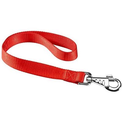 Trela Club GM 25/45 da Ferplast, uma trela resistente e confortável para cães de médio e grande porte.