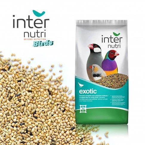 Internutri | Alimentação para Pássaros Exóticos 1kg Internutri | Alimentação para Pássaros Exóticos 1kg
