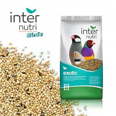 Internutri | Alimentação para Pássaros Exóticos 1kg