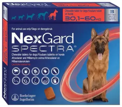 Nexgard Spectra | 30-60kg 3 Comprimidos Mastigáveis Embalagem de Nexgard Spectra para cães de 30kg a 60kg, com 3 tabletes