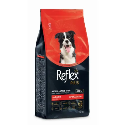 Cão adulto de porte médio/grande brincando comendo ração Reflex Plus Cordeiro & Arroz