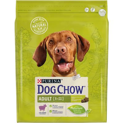 Cão adulto de pelagem brilhante e forte comendo Purina Dog Chow Cordeiro em um prato.