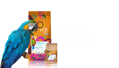 Saco de ração para papagaios em tons de verde e amarelo. Internutri Alimentação para Papagaios 1kg com variedade de sementes e frutas.