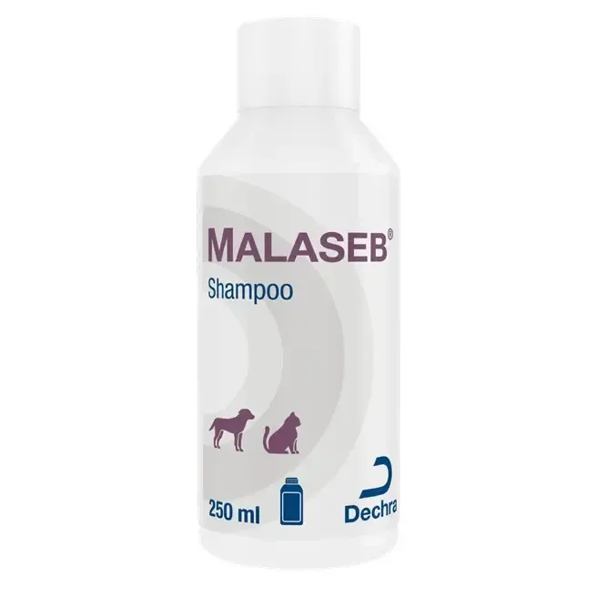 Shampoo Malaseb Dechra para dermatite em cães e gatos