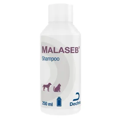 Shampoo Malaseb Dechra para dermatite em cães e gatos